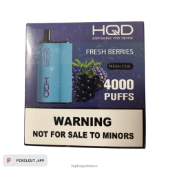 HQD Vape Paris - HQD BOX 4000 bouffées baies fraîches D2684102