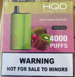 HQD Vape Review - HQD BOX 4000 bouffées grenade kiwi D268499