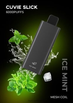 HQD Vape Store - HQD CUVIE SLICK 6000 bouffées menthe glacée D268427