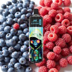 JNR Alien Max 18000 Puffs Myrtille Framboise, 28ml, 850mAh, Type-C