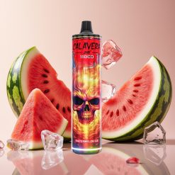 JNR Calavera 11000 Puffs Pastèque Glacée, 21ml, 1.0ohm, Type-C