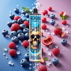 JNR Calavera 11000 Puffs Rechargeable Type-C 21ml 0%/2%/5% Myrtille Glace
