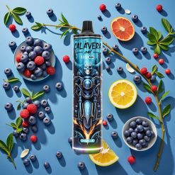 JNR Calavera 11000 Puffs Type-C 850mAh 21ml 1.0ohm Mr Bleu