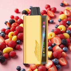 JNR Cruiser 12000 Puffs Sans Recharge - 25ml, 3500 mAh, Baies Mixtes