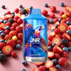 JNR Falcon 16000 Puffs Baies Mixtes - 850mAh, 22ml, Dual Mesh Coil, Type C
