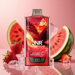 JNR Falcon Pro 28000 30ml 950mah 5% Fraise Pastèque Glacée