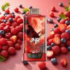 JNR Falcon Pro 28000 Cerise Baies 30ml 950mAh 5% Display USB-C Dual Mesh MTL