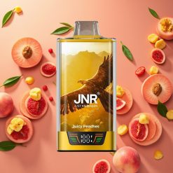 JNR Falcon Pro 28000 Pêche Juteuse 30ml 950mAh 5% Nicotine