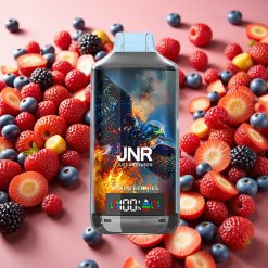 JNR Falcon X 18000 Puffs - 750mAh, 24ml, Baies Mixtes, Dual Mesh Coil, Type-C