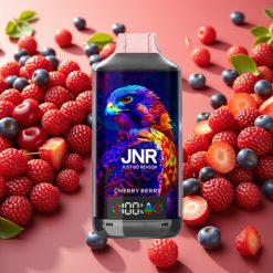 JNR Falcon X 18000 Puffs Cerise Baies 750mAh 24ml Dual Mesh