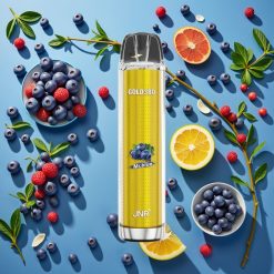 JNR Gold380 6000 Puffs Bleu Monsieur 1500mAh 13ml France vape fournisseur