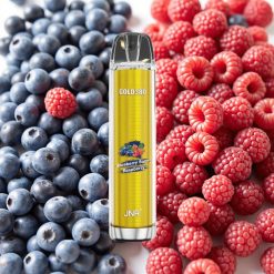 JNR Gold380 6000 Puffs Disposable Vape Myrtille Framboise Acidulée 6000 Puffs 1500mAh 13ml