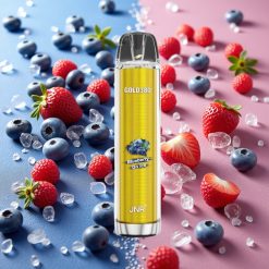JNR Gold380 6000 Puffs Disposable Vape Myrtille Glacée 6000 Puffs 1500mAh 13ml