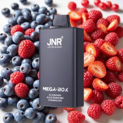 JNR Mega Box 25000 Puffs Disposable Vape Myrtille Framboise Acidulée Fraise 30ml 850mAh