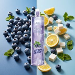 JNR Shisha Hookah 12000 Puffs 24ml 750mAh Type-C Menthe Myrtille