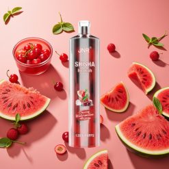 JNR Shisha Hookah 12000 Puffs 750mAh 24ml Cerise Pastèque Glacée