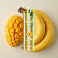 JNR Shisha Hookah 12000 Puffs Mangue Banane 24ml 750mAh Type-C