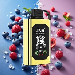 JNR Shisha Hookah Box 20500 Puffs - 25ml, Dual Mesh Coil, Type-C - Myrtille Glace