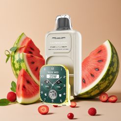 JNR VapeWatch 30000 Puffs Pastèque Glacée 1000mAh 19mL 5%