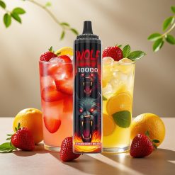 JNR Wolf Niplo 10000 Puffs Mojito Fraise 20ml 5% Type-C France vape fournisseur