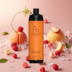 RandM Fumot Shisha 10000 Puffs 18ml 850mAh 0.6ohm Type-C Pêche Glacée