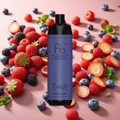 RandM Fumot Shisha 10000 Puffs Menthe Baies 18ml 850mAh 0,6ohm